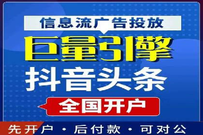 SEO百度推广策略：成功案例解析